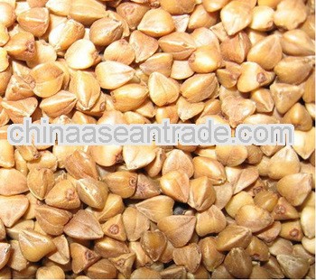 best price for buckwheat,roasted buckwheat kernel,roasted buckwheat