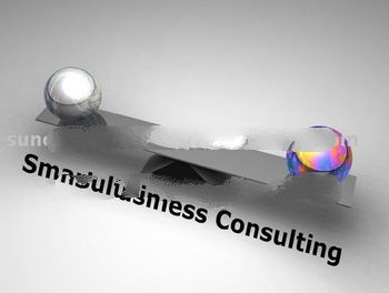 business consulting,consultancy