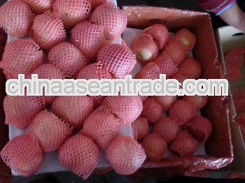chinese apples fruits