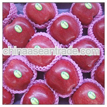 chinese fresh red delicous sweet crispy minerals Tianshui huaniu apple