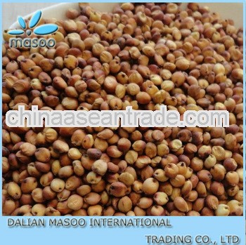 chinese organic sorghum for sale-6