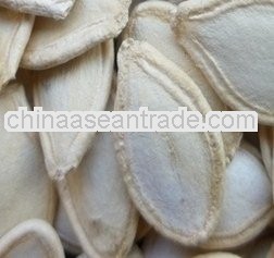 chinese shine skin pumpkin seeds