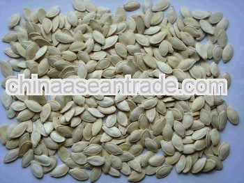 chinese shine skin pumpkin seeds new crop