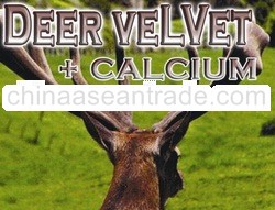 aLDeVinice VIII Deer Velvet + Calcium Natural Health Product