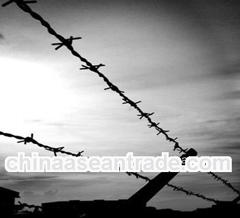 factory razor barbed wire/factory/low price