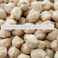 fresh indian kabuli chickpeas for 