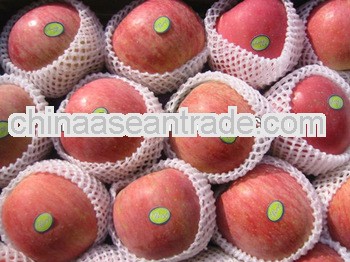 fuji apple/yantai fuji apple/fresh fuji apple