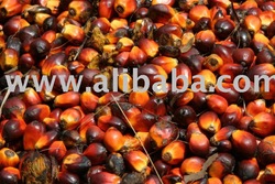 Refined and crude Palm oil, Sunflower oil , Rapeseed oil , Canola Oil