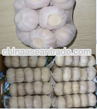 garlic price in china 2012