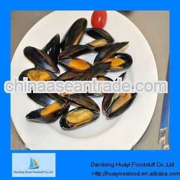 high quality iqf new mussel