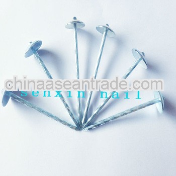 hot dipped galvanized roofing nail with umbrella head