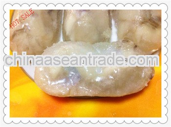 hot sale best price top oyster meat