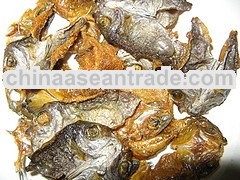 Philippine Dried Fish/ DRIED DANGGIT