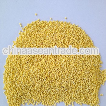 import 2013 crop millet without hull