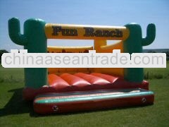inflatable bouncer & jumper