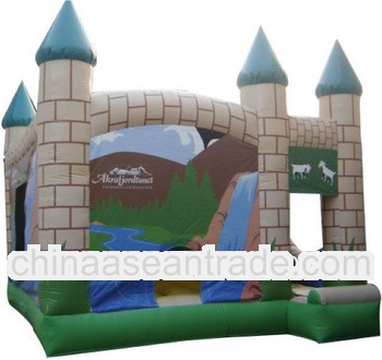 mini inflatable castle combo