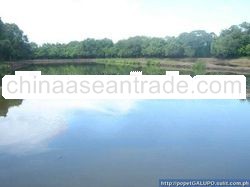 philippine 13 hectares fishpond for sale