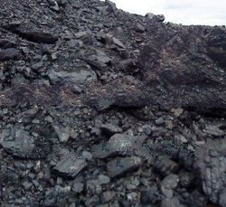 Steam Coal GCV 5504 kcal (ADB)