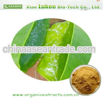 price of aloe vera leaf aloe vera cosmetics