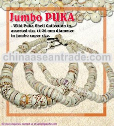 Jumbo Size Puka Shell Jewelry Necklaces