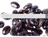 salted roasted black beans