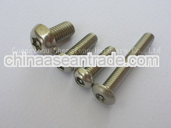stainless steel security screw