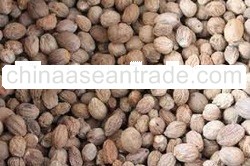 Nutmeg without shell grade ABCD