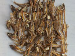 Anchovy Dried Fishes